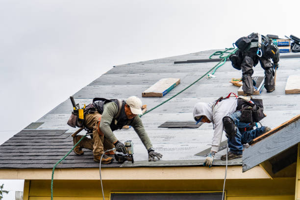 Professional Roofing technician working in Steamboat Rock, IA